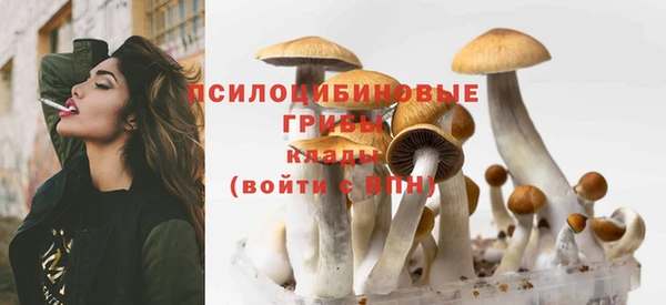 MDMA Богданович
