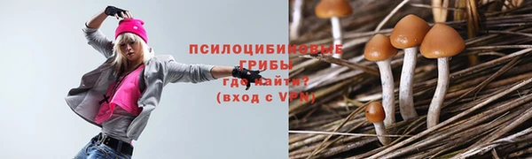 круглые Богородицк