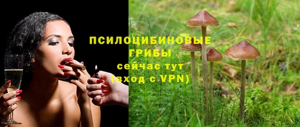 гашишное масло Богородск